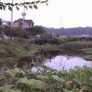 장진천길 이미지