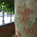 이지(Easy's) 이미지