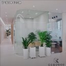 김순흠성형외과의원 이미지