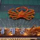 영덕여자고등학교 | 넘사벽이였던 영덕 대게 맛집