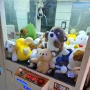 뽑대장 네이버블로그