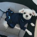 블랙마망