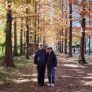 경남 산림환경연구원의 가을 이미지