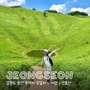 세븐일레븐정선남면점 | 정선 민둥산 뚜벅이 여행 서울 당일치기 등산코스 혼자 다녀온 후기