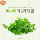 하낭