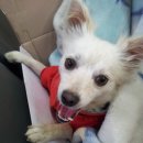 미소사랑 주유소 이미지