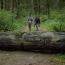 더포레스트 이미지