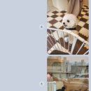 movepet 이미지