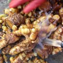 김종현 농장 이미지