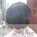 BELLACE(벨라스) 이미지
