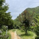 조은펜션 - 동해시 터일길 50 | 조은펜션