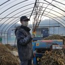 최용환농장 이미지