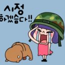 라면칼국수 Daum카페