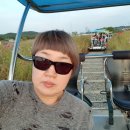 코스모스미용실 이미지