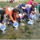 다대수산 이미지