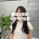 수원-0245 이미지