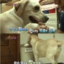 호야스튜디오 이미지