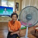 선풍기, 돗자리 전달(김점애,이종순,조월례,고근례어르신) 이미지