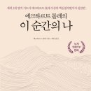 이 순간의 나 (에크하르트 톨레) 이미지