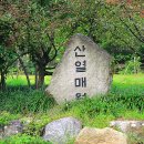 황학산수목원 이미지