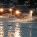 아이언게러지 이미지