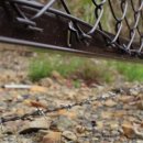 멧돼지 태양광발전소 이미지