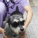 다솔메디칼 이미지