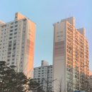 20일공부인증챌린지_4일차 : 영등포구 및 경기안양 임장하기