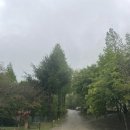 순천-04호 | 전북 순창군 담양군 감성숙소 : 스테이사계 C04 숙박후기