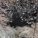 화개장터 이미지