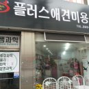 플러스 애견미용실 이미지