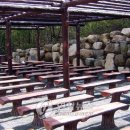 용산초교 이미지