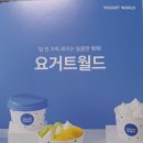 요거트월드 목동점