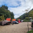 하늘숲 오토캠핑장 | 계곡물 맑고 시설 깔끔한 포항 하늘숲 오토캠핑장 후기