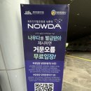 디지털정비 | [제주여행 3일차]거문오름·비자림 | 제주 동쪽 자연코스+제주디지털관광증(나우다) 무료 이용 후기
