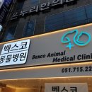벡스코 동물병원 이미지