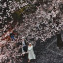 눈부시게 - 광산구 | 눈부시게