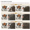 엔코라인