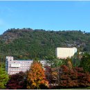 초당대학교 이미지