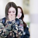 갠지 이미지