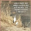 나의 피난처 예수 의지해요 / 카톡GIF 이미지