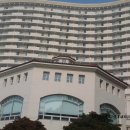 (주)라비돌 네이버블로그