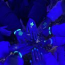 후정해수욕장 행정봉사실 | 양양가볼만한곳 겨울 낙산해변 모닥불축제 현장접수 솔직후기