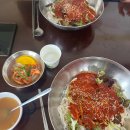 한스 강아지방 이미지