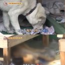 덕둔지농장 이미지