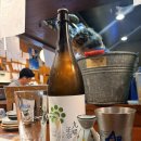 옳지 | Day 3~4_인생은 선택의 연속이고 노는데 있어서는 내 선택이 옳지! _ 구마모토, 아사쿠사 돌고래 워칭