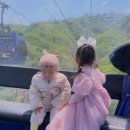 마장목장 | 소노펠리체 승마체험, 비발디파크 액티비티, 양떼목장까지 내돈내산 솔직 후기