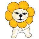 로이통신 이미지