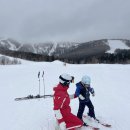 용인대 스포츠클럽 이미지