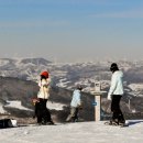 알펜시아리조트 이미지